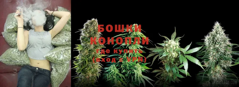 где найти наркотики  OMG ONION  Шишки марихуана SATIVA & INDICA  Тайга 